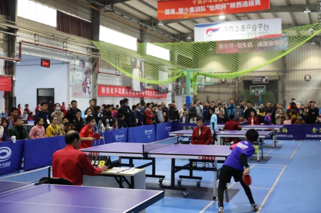 己的速度和 己的速度和